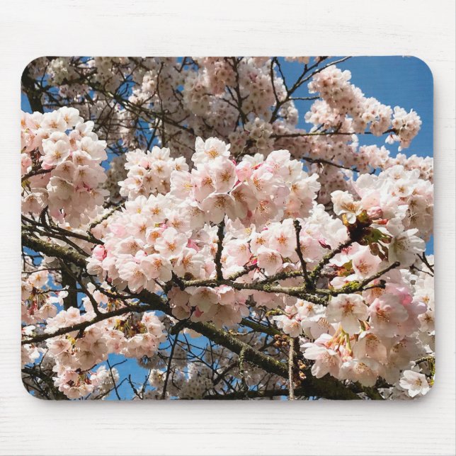 Kirschbaum in Bloom, Oregon Mousepad (Vorne)