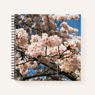 Kirschbaum in Bloom, Oregon Notizbuch