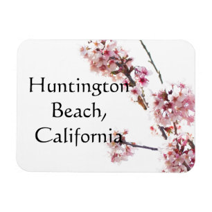 Kirschbaum in blühendem Huntington Beach, Kaliforn Magnet