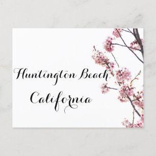 Kirschbaum in blühendem Huntington Beach, Kaliforn Postkarte