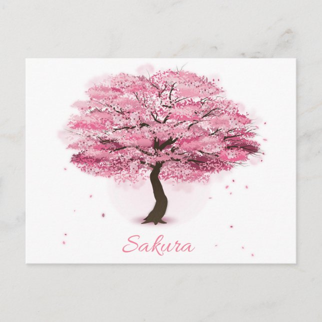 Kirschbaum in Blüte Postkarte (Vorderseite)