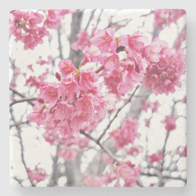 Kirschbaum in Blüte Steinuntersetzer (Vorderseite)