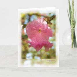 Kirschbaum (Kwanzan) Karte