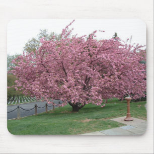 Kirschbaum Mousepad