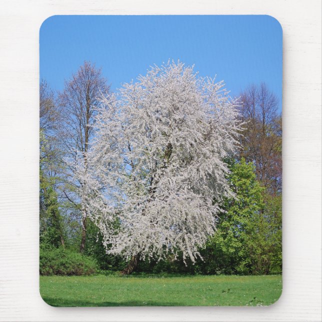 Kirschbaum Mousepad (Vorne)