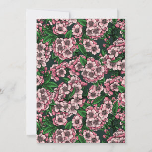 Kirschblüte 2