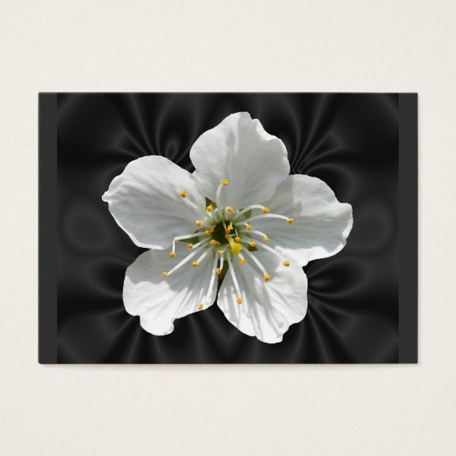 Kirschblüte ~ ATC (Vorderseite)