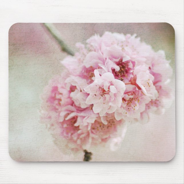 Kirschblüte botanisch mousepad (Vorne)