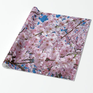 Kirschblüte Geschenkpapier