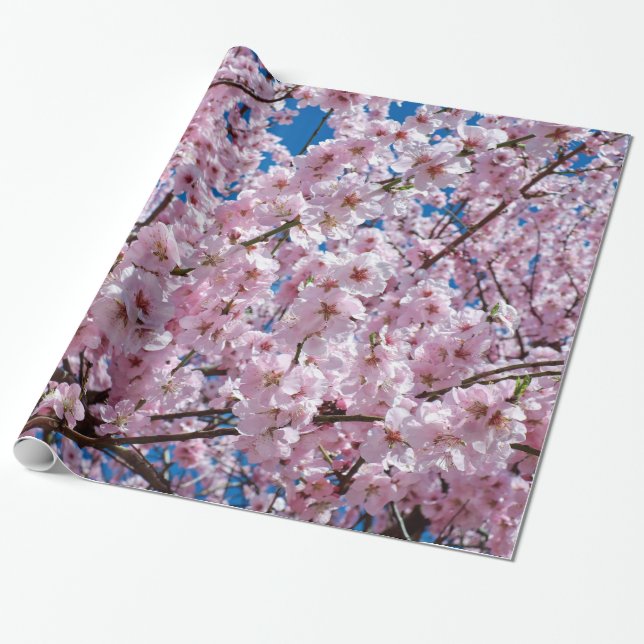 Kirschblüte Geschenkpapier (Ungerollt)