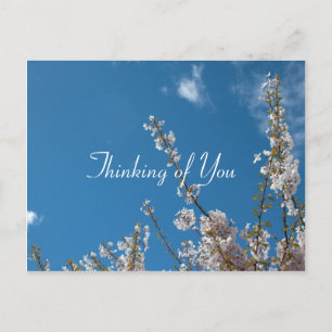 Kirschblüte im blauen Himmel, in Gedanken an dich Postkarte