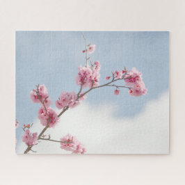 Kirschblüte im Himmel