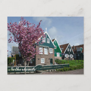 Kirschblüte in Marken, Niederlande Postkarte