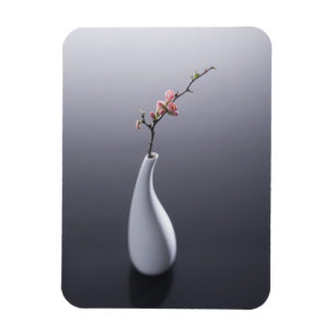 Kirschblüte in Vase Magnet