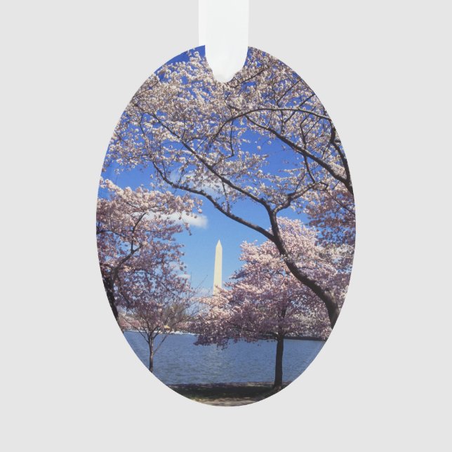 Kirschblüte in Washington DC-Foto Ornament (Vorderseite)