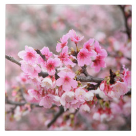 Kirschblüte Japan Blumenrosa hübsche einzigartige  Fliese
