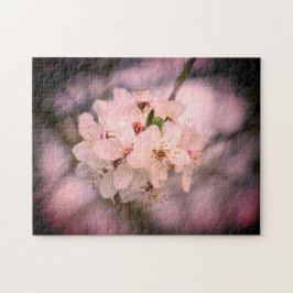 Kirschblüte Japan Blumenrosa hübscher einzigartige