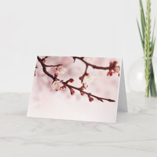 Kirschblüte Karte