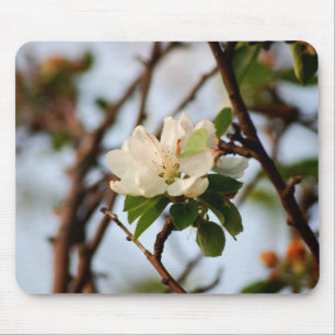 Kirschblüte Mousepad