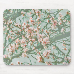 Kirschblüte Mousepad