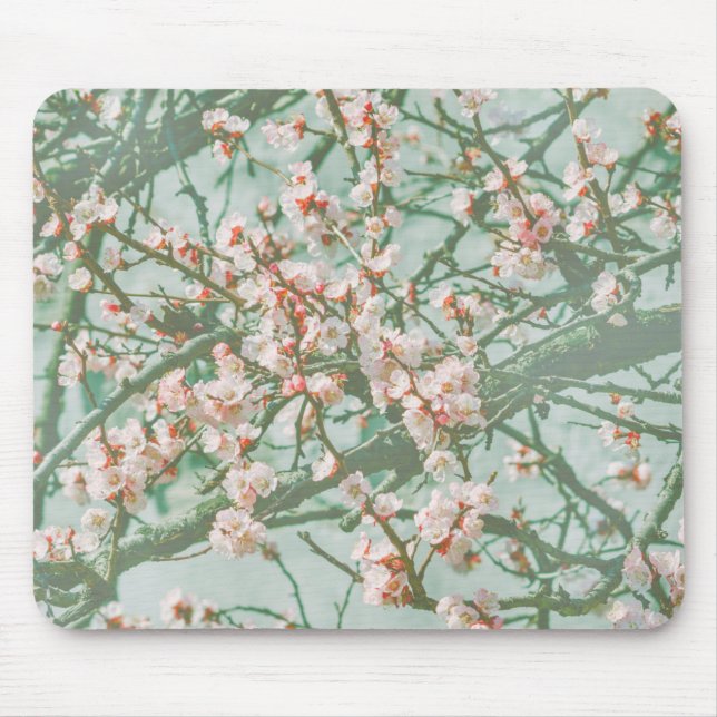 Kirschblüte Mousepad (Vorne)