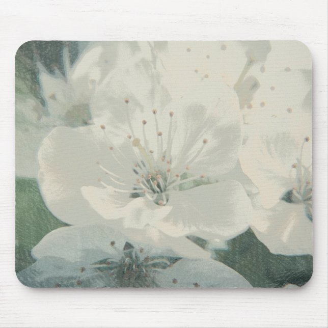Kirschblüte Mousepad (Vorne)