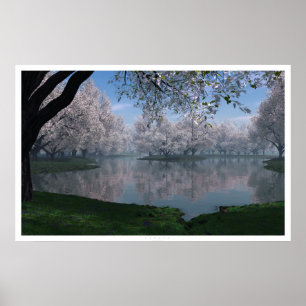 Kirschblüte Poster