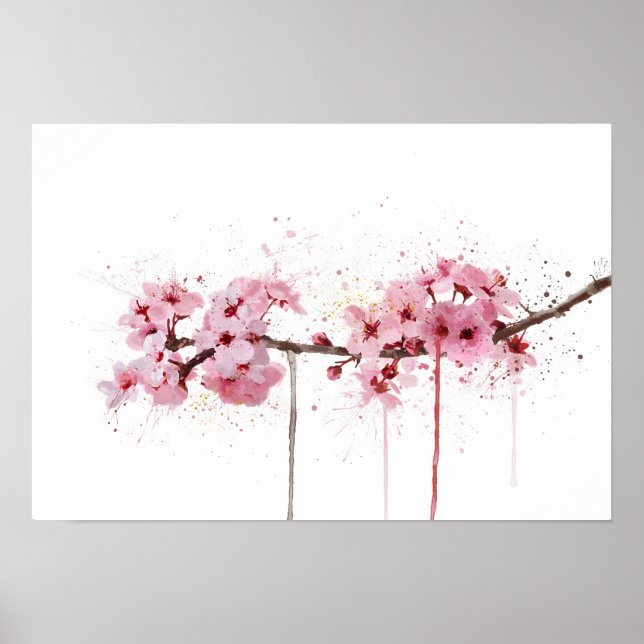 Kirschblüte Poster (Vorne)