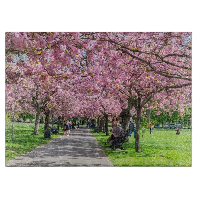 Kirschblüte Schneidebrett (Vorderseite)