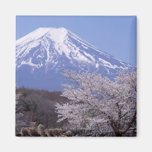 Kirschblüte und der Fujisan Magnet