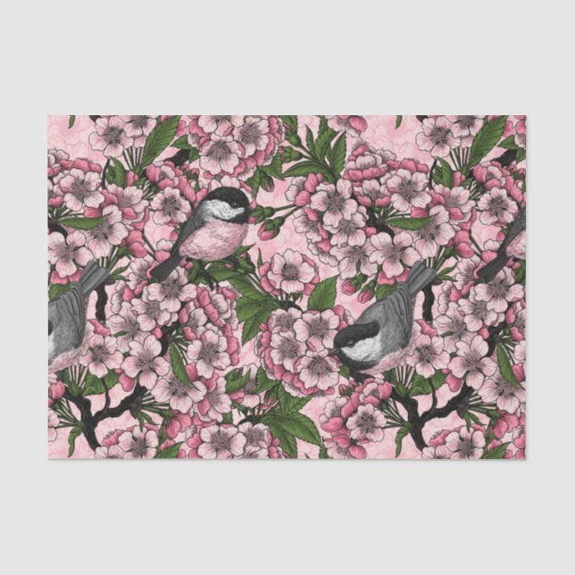 Kirschblüte und Kichererbsen auf rosa Seidenpapier (Vorderseite)