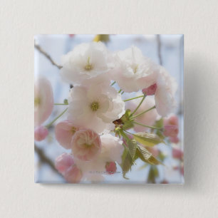 Kirschblüten 3 button