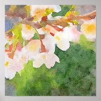 Kirschblüten Aquarell Sakura Blumen Frühling