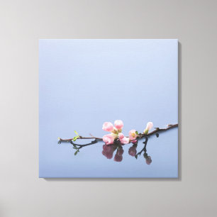 Kirschblüten auf Wasser Leinwanddruck