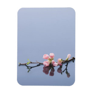 Kirschblüten auf Wasser Magnet