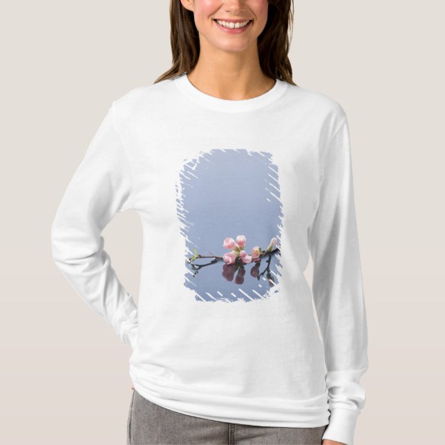 Kirschblüten auf Wasser T-Shirt (Vorderseite)