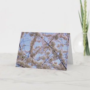 'Kirschblüten' Blankokarte Karte