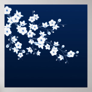 Kirschblüten-blaues Weiß Poster
