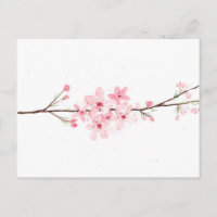 Kirschblüten Blume Sakura Japanisches Rosa