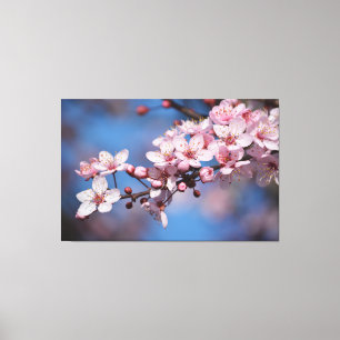 Kirschblüten-Blumen Leinwanddruck