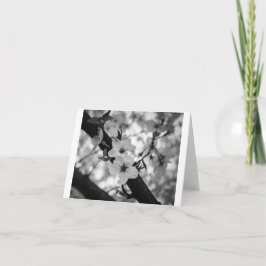Kirschblüten BW - Leere geklappte Karte