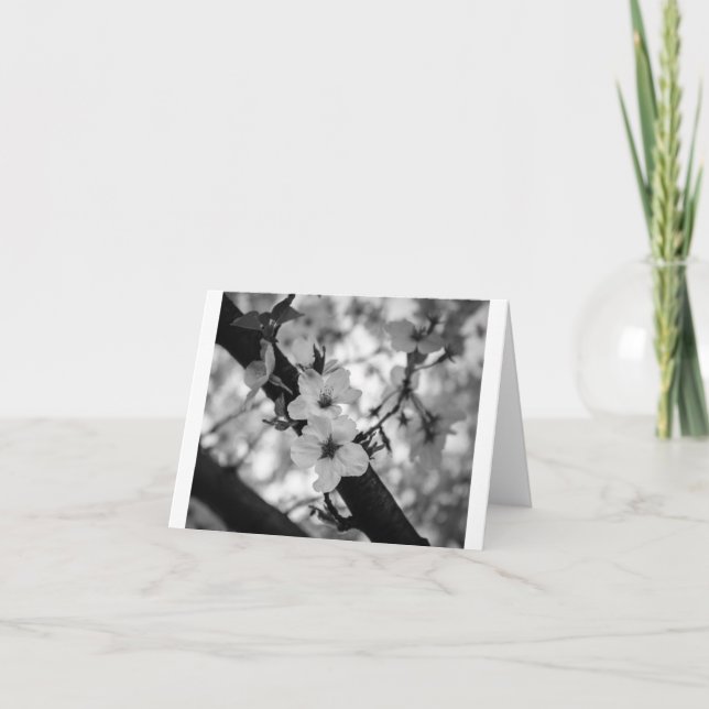 Kirschblüten BW - Leere geklappte Karte (Vorderseite)