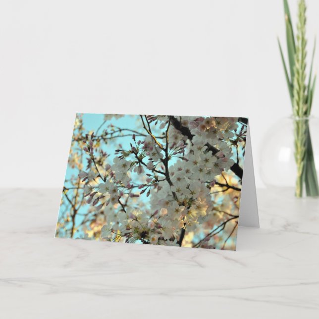 Kirschblüten-Designkarte Karte (Vorderseite)