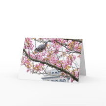 Kirschblüten Faltkarte