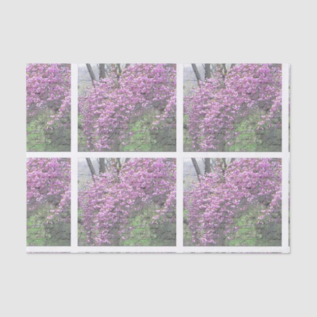 Kirschblüten-französisches Skript Decoupage Seidenpapier (Vorderseite)