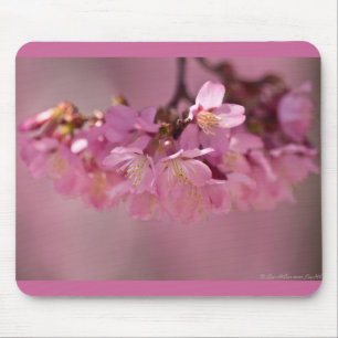 Kirschblüten-Heißes Quellen 2012 Bekleidung & Gesc Mousepad