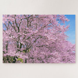 Kirschblüten im Blut