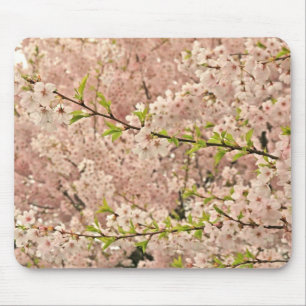 Kirschblüten im Frühjahr Mousepad
