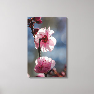 Kirschblüten im Sunshine Triptych Art Leinwanddruck