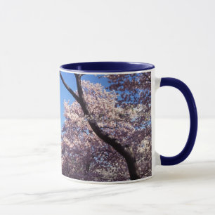 Kirschblüten in der Washington DC-Kaffee-Tasse Tasse